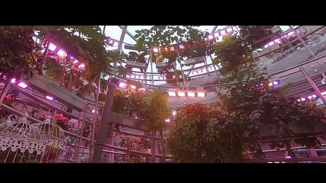 "Азбука" - учебный ролик волонтеров "Друзья Зарядья" смотреть онлайн