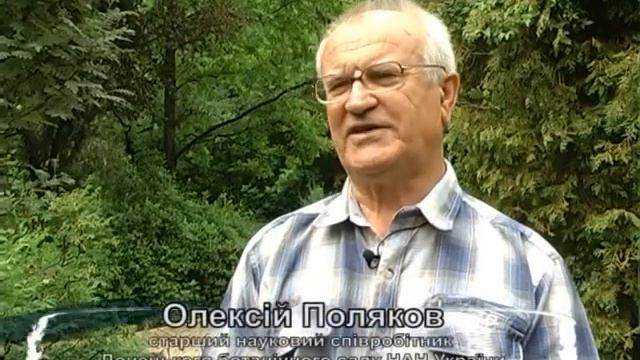 Освіта та наука ефір від 20.06.13 смотреть онлайн