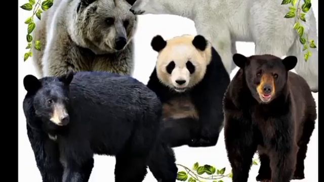 Живая музыка. Музыка. С ударником . Для поднятия тонуса. смотреть онлайн