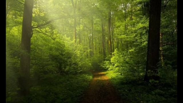 БЫСТРЫЙ ТАППИНГ ПО РАЗНЫМ ПРЕДМЕТА!АСМР ДЛЯ РОСЛАБЛЕНИЯ!! смотреть онлайн