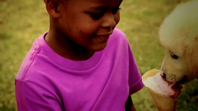 Comercial creado para Nutre CAN, ref: VIAJE. смотреть онлайн