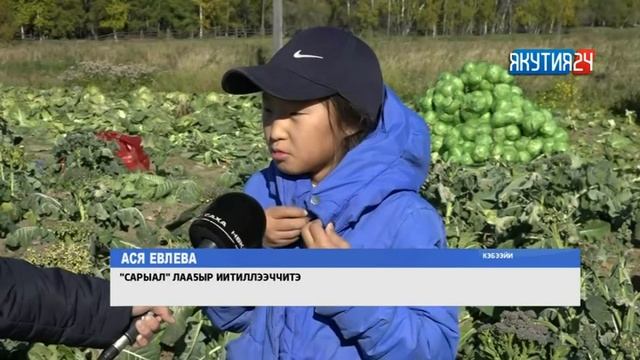 «Саха сирэ» информационнай биэрии. Балаҕан ыйын 20 күнэ, 13:30 ч смотреть онлайн