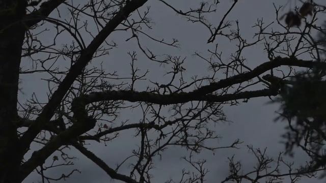 4 Scary Stories about Resentful Creatures taking Revenge - Tales from Korea Ep.18 смотреть онлайн