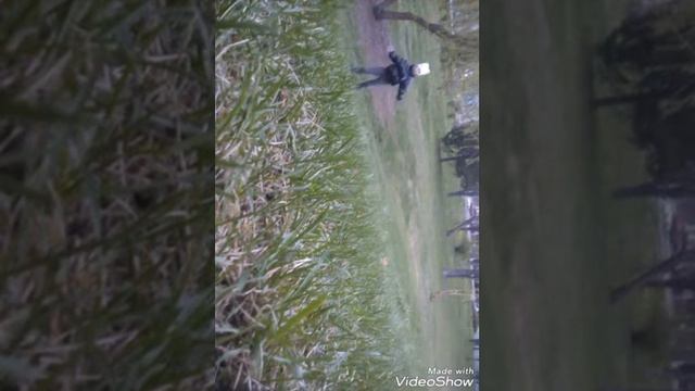 учимся ловить мяч смотреть онлайн