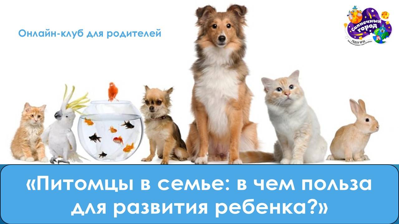 Питомцы в семье: в чем польза для развития ребенка?_онлайн-клуб для родителей_январь 2025
