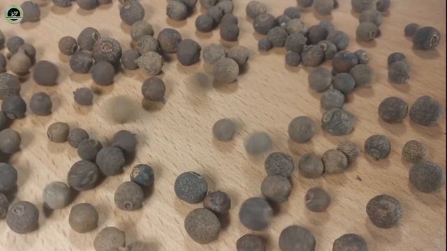 ОЧИЩЕНИЕ СОСУДОВ ГОЛОВНОГО МОЗГА. 90-летний врач раскрыл секрет ОЧИСТКИ СОСУДОВ МОЗГА! смотреть онлайн