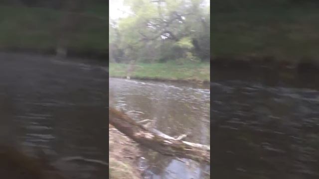 "Так берегут природу(мертвая речка) смотреть онлайн