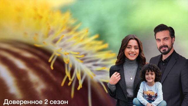 Доверенное 351 серия.Мы неправильно понимали Халила Ибрахим  на протяжении многих лет?