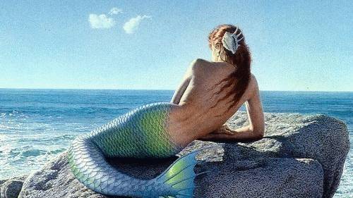 70638240_2960064470734308_1043548075060101120_n.jpg555555555555555555555555555555555555555555.mp4