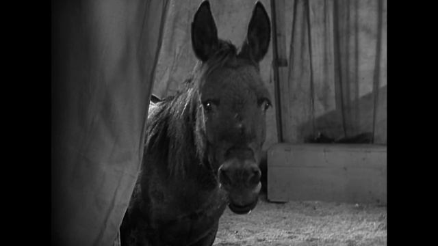 "Ретро" : "Цирк" смотреть онлайн