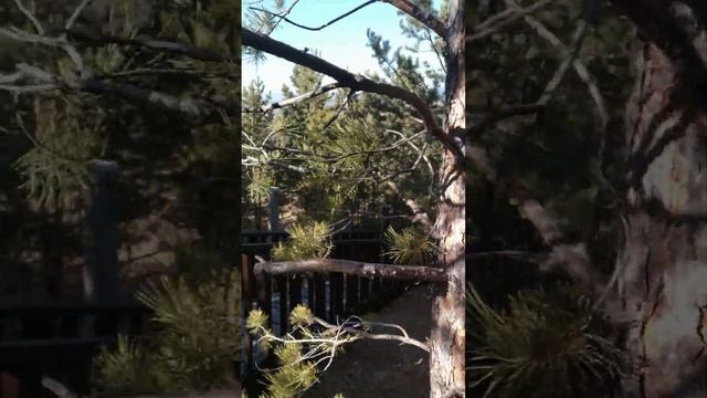 Посещение дацана Ринпоче Багша (Улан-Удэ) смотреть онлайн