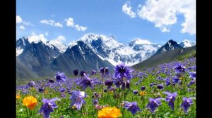 Краткое содержание Юшка. Платонов А. П. 6 минут