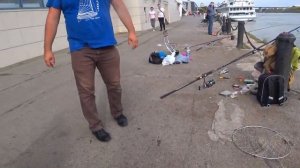 Рыбалка !!  Ростов на Дону!! Лещ Сазан!