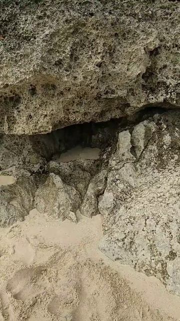 Чудо конденсатор воды. В естественных условиях! смотреть онлайн