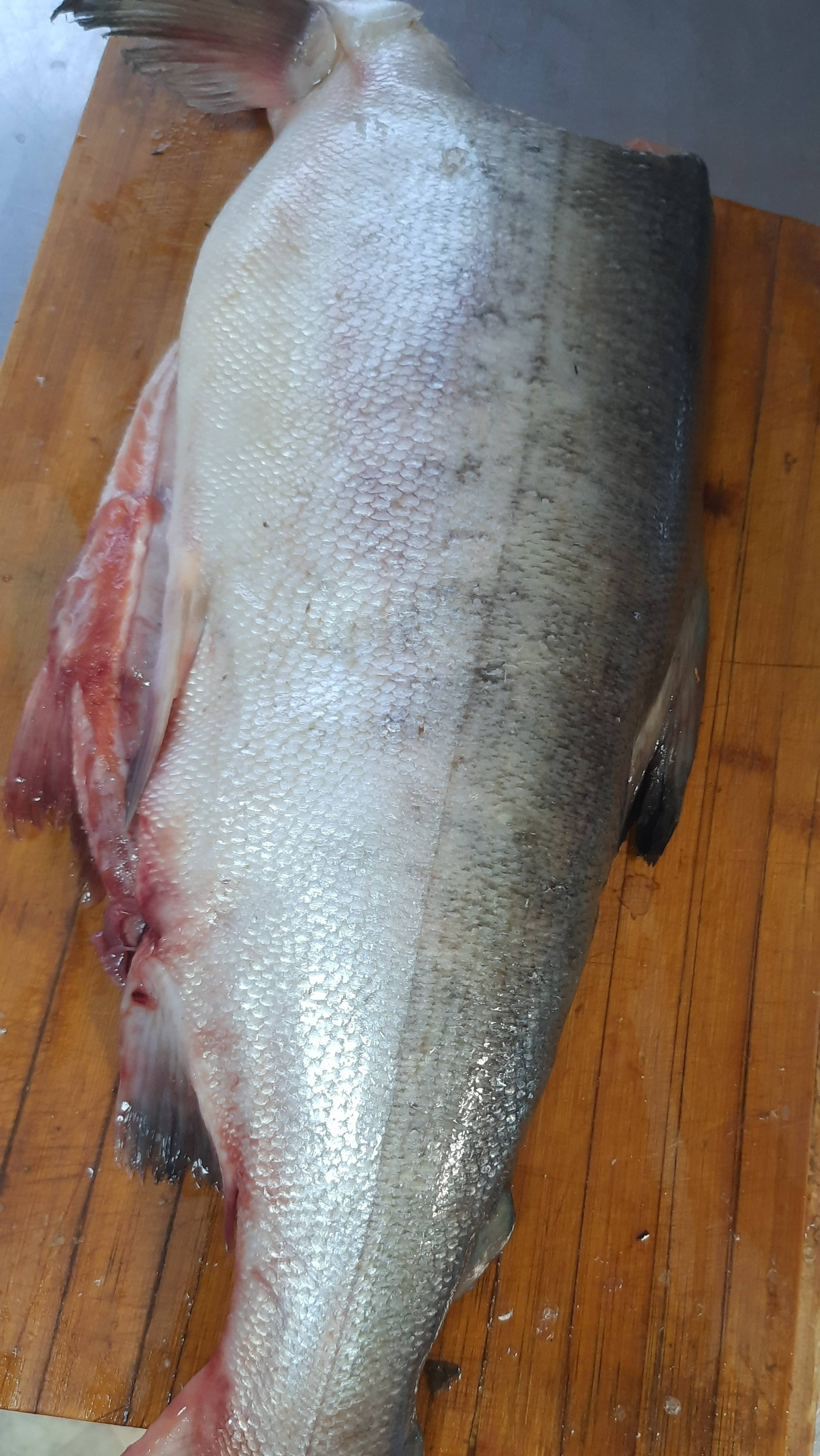 кета свежемороженая