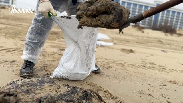 «Наше море надо спасать»: изнанка ежедневной работы волонтеров и специалистов в Краснодарском крае смотреть онлайн
