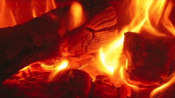 Финико (Finiko) - выплаты начались! /  Подкаст