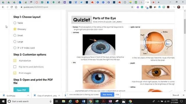 Facilitating Cooperative Learning with Quizlet смотреть онлайн
