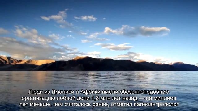 Мозг древних людей мог быть похож на обезьяний смотреть онлайн