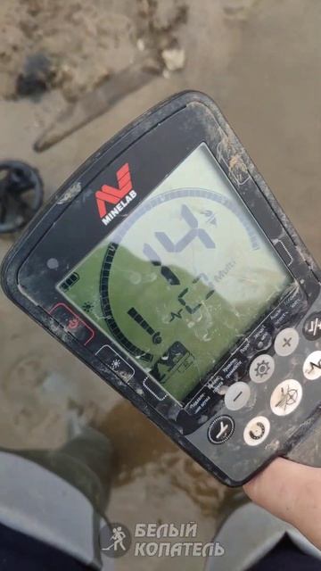 Вот почему надо копать все сигналы, чтобы не пропустить золото! смотреть онлайн