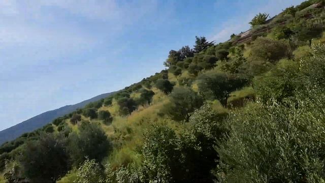 BetaFPV Pavo Pico with DJI O3 Air Unit: test flight — stabilized by Gyroflow 1.5 смотреть онлайн
