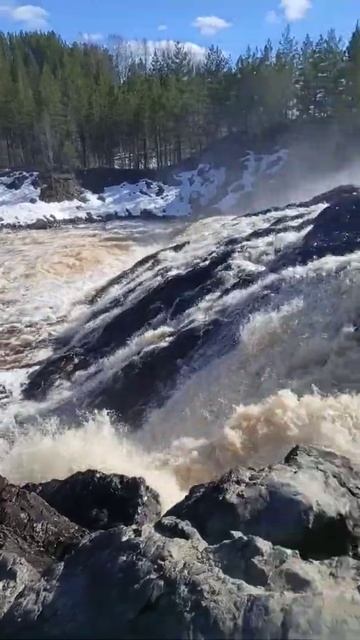 Отдых в Карелии в мае. Вулка - водопад Гирвас, сброс воды 7 мая 2022 продолжается. смотреть онлайн