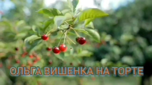 УРАЛЬСКАЯ ЧЛЕНИХА ВРЁТ И ЗАБЫВАЕТ. смотреть онлайн
