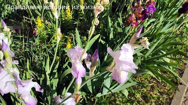 🤦♀️ Дорогой визит дочери обернулся шоком для матери ... смотреть онлайн