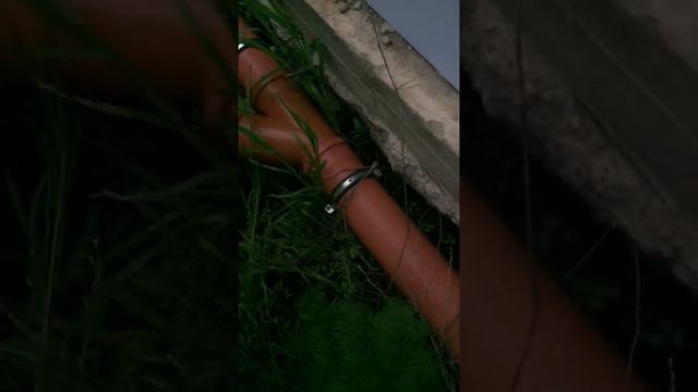 Ищем ящериц смотреть онлайн