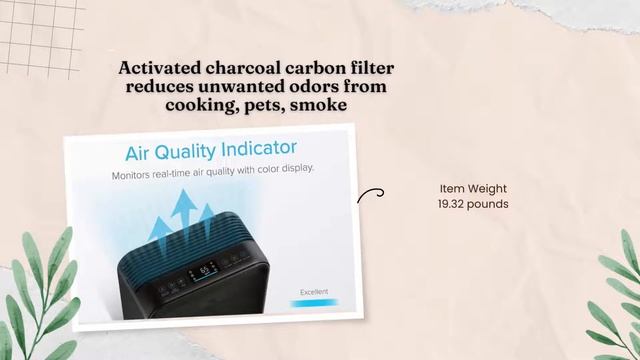 Lago Air Purifier for Home review | HEPA Odor-Reducing Carbon 3-Stage Filters | QuestBest-Review смотреть онлайн