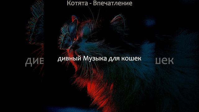 Атмосфера (Отдыхающие кошки) смотреть онлайн