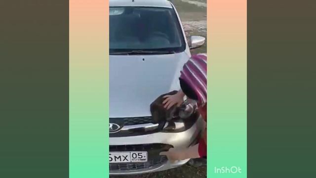 Автомойка дома! Предлагаем, через построение сети потребителей то, что сами тестируем #автомобили смотреть онлайн