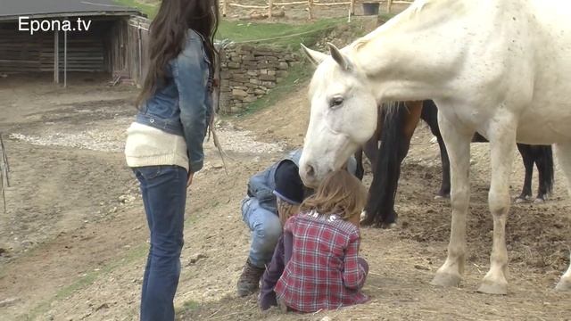 Rediscovering horses, part 7: Cognitive kids смотреть онлайн