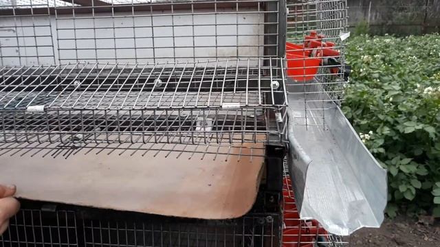 Клетка для перепелов смотреть онлайн