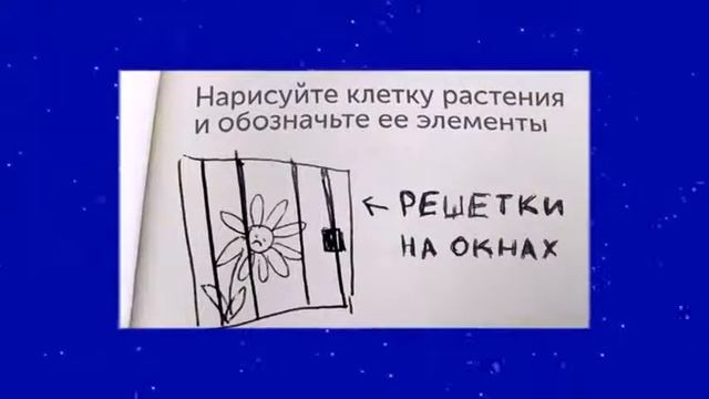 Эти дети заслужили приз за такие ответы на контрольных смотреть онлайн