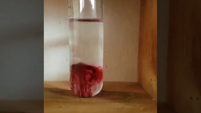 Colorful Reaction Of Ethanol With Formic Acid And Potassium Permanganate PBC EXPERIMENT