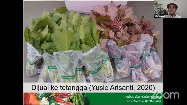URBAN FARMING online class (SESI 1, Urban Farming 101: Hidup Sehat & Hemat dengan Urban Farming) смотреть онлайн