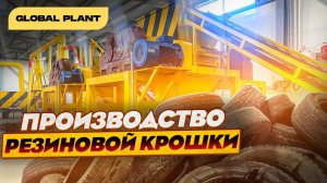 Открытие  завода по переработке шин в резиновую крошку. Auto Tire Recycling 300 lite.