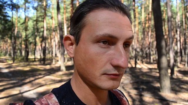 Отчет о походе в лес смотреть онлайн