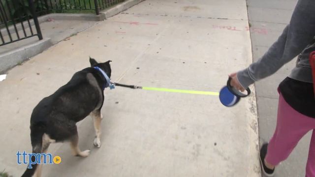 SmartLeash Pet Gear Review from Pet Product Innovations смотреть онлайн
