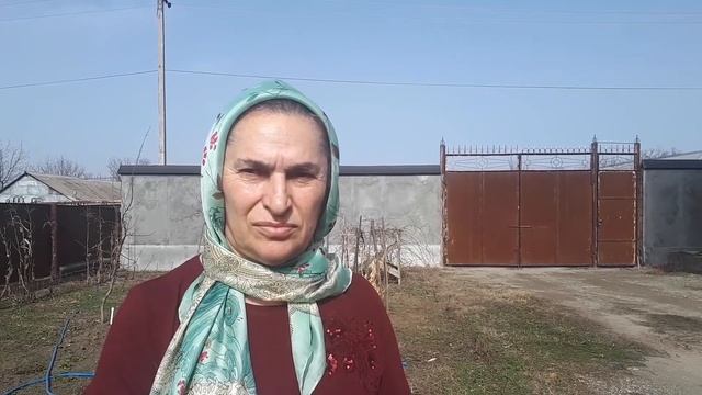 МЕЖДУНАРОДНАЯ программа КУРС /АРСАНОВА АСМАЪ/2/ смотреть онлайн