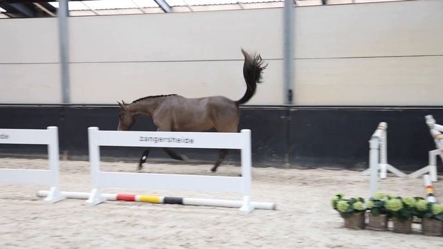 Quelle Chance de Tiji смотреть онлайн