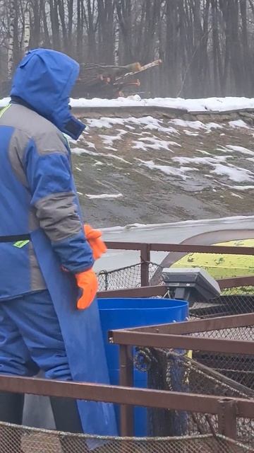 Запуск форели смотреть онлайн