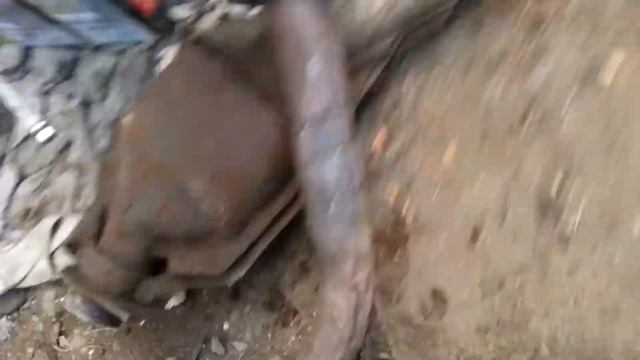 Обзорка булки... смотреть онлайн