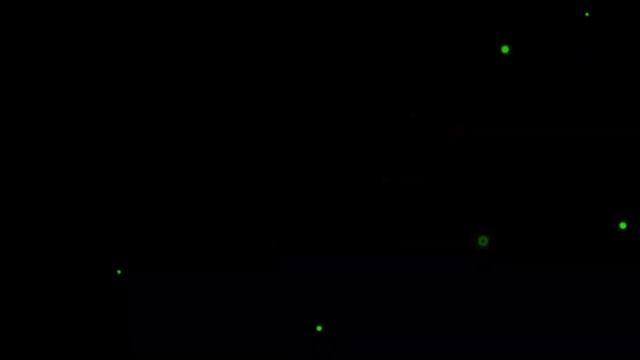 Intro motion Video [4k]! смотреть онлайн