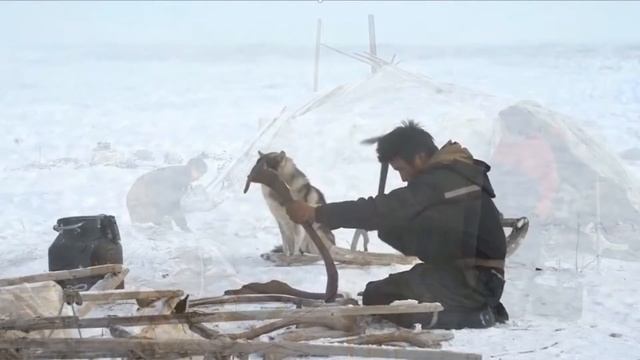 ЛЮДИ СЕВЕРНОГО СИЯНИЯ/10 летие языков коренных народов России смотреть онлайн