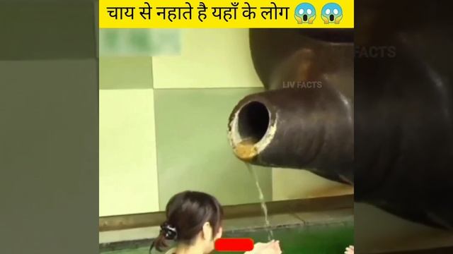 Japan के लोग चाय सै क्यौ नहाते हैं #shorts #shortvideo @A2Motivation смотреть онлайн