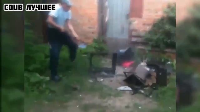 NEW COUB DAILY | Новые кубы ежедневно #10 смотреть онлайн