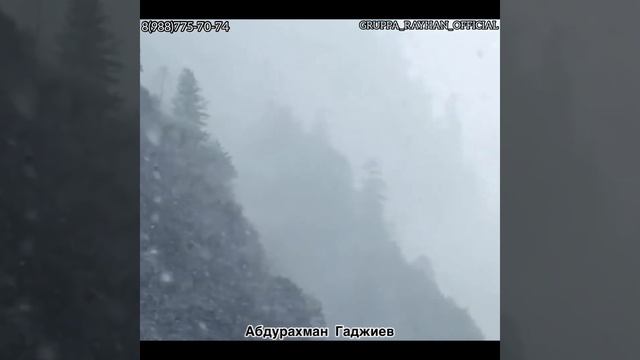 ABDURAHMAN GADJIEV Новый нашид на аварском языке название нашида "АЛЛАГЬАСУЛ МУЛКАЛЪУЛЪ" NEW NASHEE смотреть онлайн