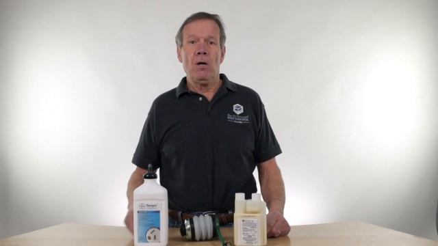 Carpenter Bee Kit смотреть онлайн